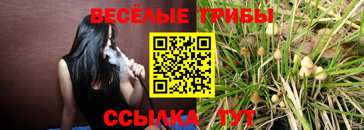 Псилоцибиновые грибы GOLDEN TEACHER Реутов