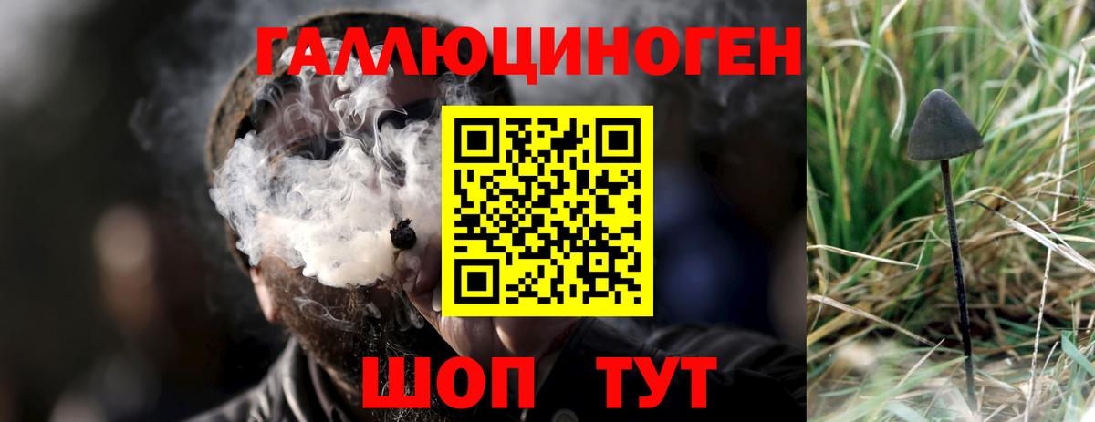 Галлюциногенные грибы Cubensis  Вход с VPN  Реутов 